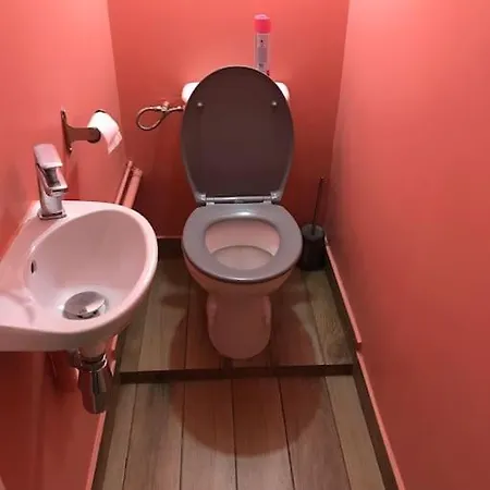 Villa Maison Rez De Jardin Integral Entre & Paris *