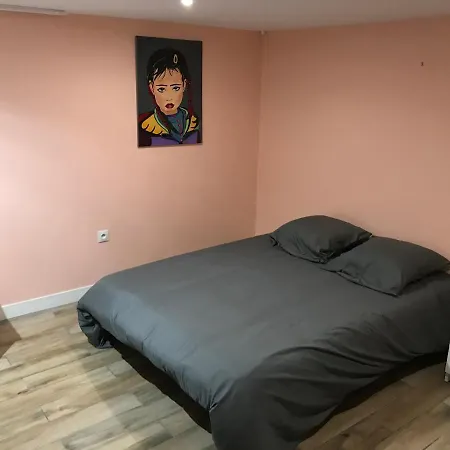 Maison Rez De Jardin Integral Entre & Paris