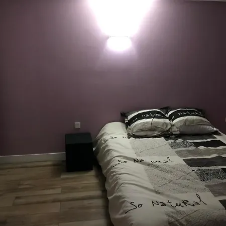 Maison Rez De Jardin Integral Entre & Paris Villa